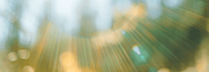 A close up of a lens flare in front of an outdoor scene
